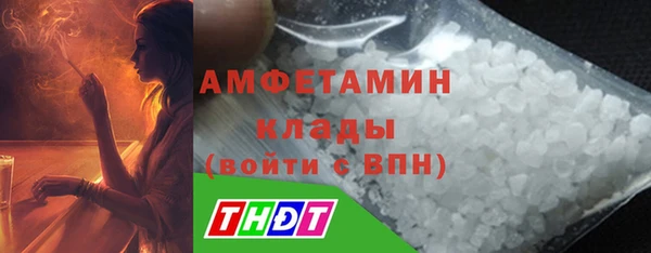 индика Абаза
