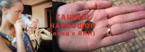 индика Абаза