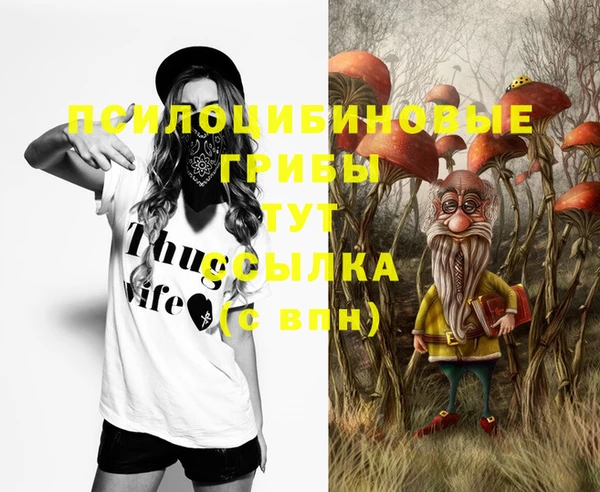 индика Абаза